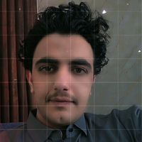 ly_mr274