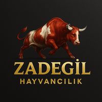 zadegil.hayvancilik