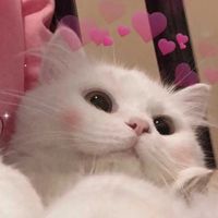 rixx_126