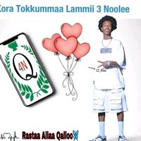 rasta_nova1