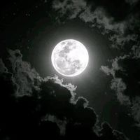 nhạc nền - Suy🌕
