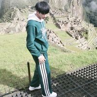 wilmertaehyung