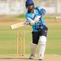 professionalcricketer33