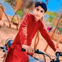 aliguljan233