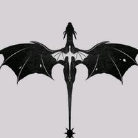 riorsonv1.1