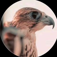 yemen_102