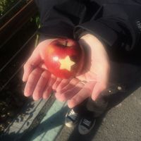 lili_r2.com