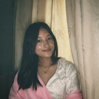 sumidiaries00