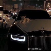abdymanapov_02