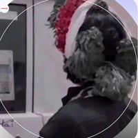 الصوت الأصلي