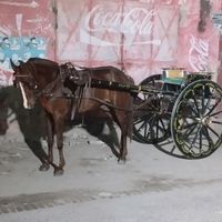 ibrargujjar978