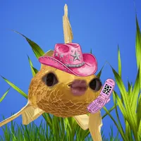 original sound - peixotan