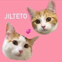 jilteto
