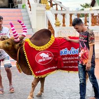 เสียงต้นฉบับ - ลูกพ่อ ขวัญใจปป8