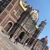 vicc_cts77