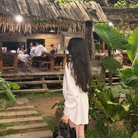 nhạc nền - Tam Hoang 🕊️