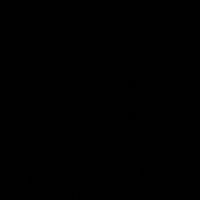 p.pp2009