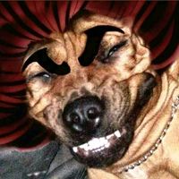 the_good_mx