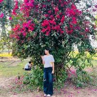 original sound - anushikaa_singh_