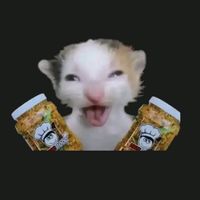 nhạc nền - Nấm ( con nhà tứ phủ)🪷