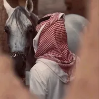 original sound - a_818ksa
