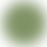 yzlovsz._8