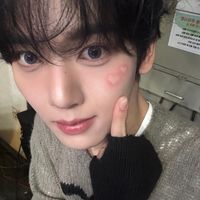ttpjjwxt