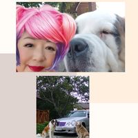 www.tiktok.com2bigdogs