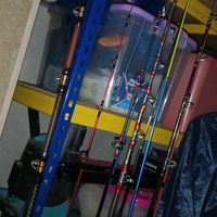 original sound - yim;($)