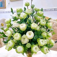 nhạc nền - Hoa Kim Flowers