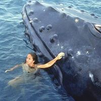 in1whale
