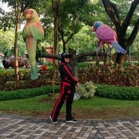 suara asli - Bunda Ndari
