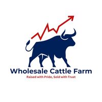 wholesalecattlefarm