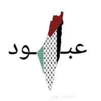 gaza277k6