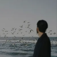 original sound - .account_20