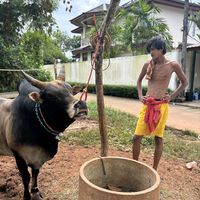 เสียงต้นฉบับ - สันติรักษ์ คงดํา