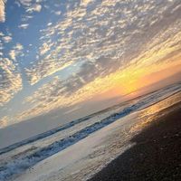 mart_amy15