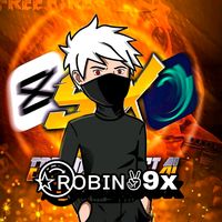 rsrobin9x