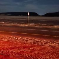 الصوت الأصلي