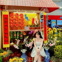nhạc nền - L    T     A