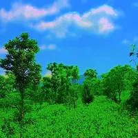 original sound - muhammadaknawaz