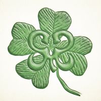 clover_h2h