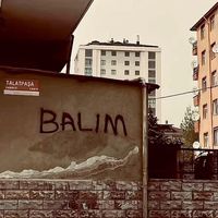 turkgenclerininpaindairy