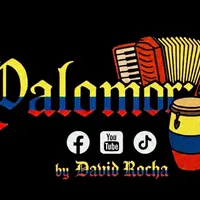 original sound - palomo_rr