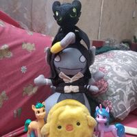 chenitafurianocturna