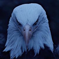 suara asli - Kang Guru