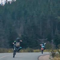 connormarsh86