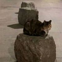 suara asli - Sabill