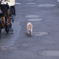___riku_12