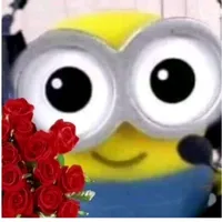 original sound - mini.minion18